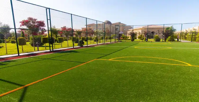 synthetic grass cleaning